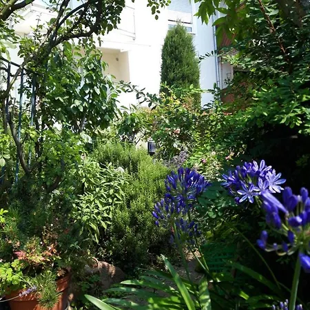 Residenz Am Berg Apartment *